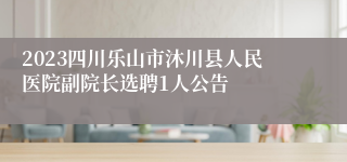 2023四川乐山市沐川县人民医院副院长选聘1人公告