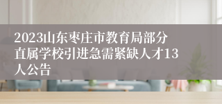 2023山东枣庄市教育局部分直属学校引进急需紧缺人才13人公告