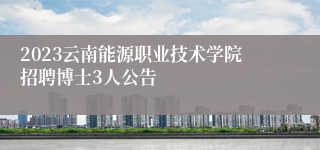 2023云南能源职业技术学院招聘博士3人公告