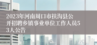 2023年河南周口市扶沟县公开招聘乡镇事业单位工作人员53人公告