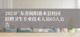 2023广东省揭阳惠来县校园招聘卫生专业技术人员65人公告