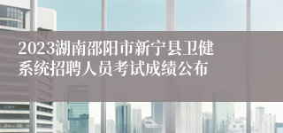 2023湖南邵阳市新宁县卫健系统招聘人员考试成绩公布