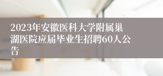 2023年安徽医科大学附属巢湖医院应届毕业生招聘60人公告