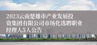 2023云南楚雄市产业发展投资集团有限公司市场化选聘职业经理人5人公告