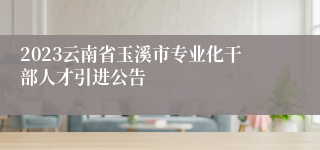 2023云南省玉溪市专业化干部人才引进公告