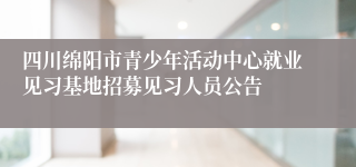 四川绵阳市青少年活动中心就业见习基地招募见习人员公告