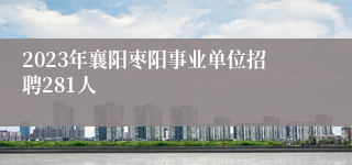 2023年襄阳枣阳事业单位招聘281人