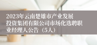 2023年云南楚雄市产业发展投资集团有限公司市场化选聘职业经理人公告（5人）