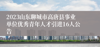 2023山东聊城市高唐县事业单位优秀青年人才引进16人公告