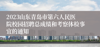 2023山东青岛市第六人民医院校园招聘总成绩和考察体检事宜的通知