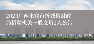 2023广西来宾市忻城县财政局招聘机关一般文员1人公告