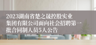 2023湖南省楚之晟控股实业集团有限公司面向社会招聘第一批合同制人员5人公告