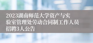 2023湖南师范大学资产与实验室管理处劳动合同制工作人员招聘3人公告