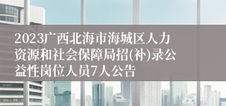 2023广西北海市海城区人力资源和社会保障局招(补)录公益性岗位人员7人公告