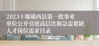 2023十堰郧西县第一批事业单位公开引进高层次和急需紧缺人才岗位需求目录