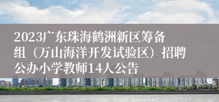 2023广东珠海鹤洲新区筹备组（万山海洋开发试验区）招聘公办小学教师14人公告