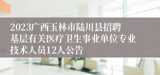 2023广西玉林市陆川县招聘基层有关医疗卫生事业单位专业技术人员12人公告