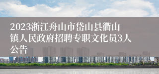 2023浙江舟山市岱山县衢山镇人民政府招聘专职文化员3人公告