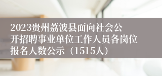 2023贵州荔波县面向社会公开招聘事业单位工作人员各岗位报名人数公示（1515人）