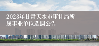 2023年甘肃天水市审计局所属事业单位选调公告