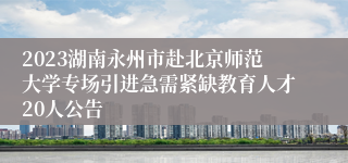 2023湖南永州市赴北京师范大学专场引进急需紧缺教育人才20人公告