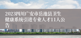 2023四川广安市岳池县卫生健康系统引进专业人才11人公告