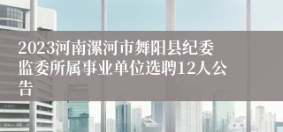 2023河南漯河市舞阳县纪委监委所属事业单位选聘12人公告