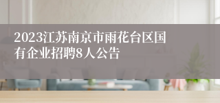 2023江苏南京市雨花台区国有企业招聘8人公告