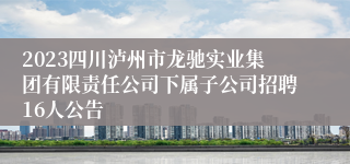 2023四川泸州市龙驰实业集团有限责任公司下属子公司招聘16人公告