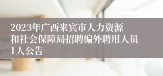 2023年广西来宾市人力资源和社会保障局招聘编外聘用人员1人公告