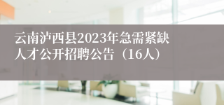 云南泸西县2023年急需紧缺人才公开招聘公告（16人）