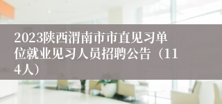 2023陕西渭南市市直见习单位就业见习人员招聘公告（114人）