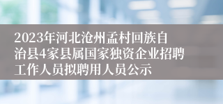 2023年河北沧州孟村回族自治县4家县属国家独资企业招聘工作人员拟聘用人员公示