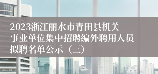 2023浙江丽水市青田县机关事业单位集中招聘编外聘用人员拟聘名单公示（三）