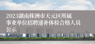 2023湖南株洲市天元区所属事业单位招聘递补体检合格人员公示