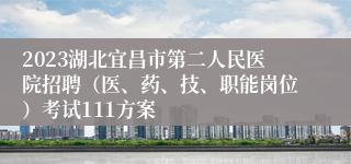 2023湖北宜昌市第二人民医院招聘（医、药、技、职能岗位）考试111方案