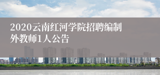 2020云南红河学院招聘编制外教师1人公告