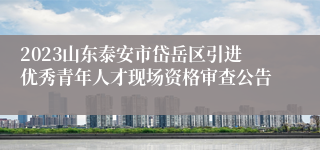 2023山东泰安市岱岳区引进优秀青年人才现场资格审查公告