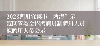 2023四川宜宾市“两海”示范区管委会招聘雇员制聘用人员拟聘用人员公示