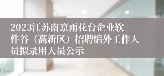 2023江苏南京雨花台企业软件谷（高新区）招聘编外工作人员拟录用人员公示