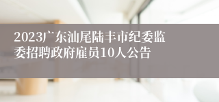 2023广东汕尾陆丰市纪委监委招聘政府雇员10人公告