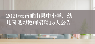 2020云南峨山县中小学、幼儿园见习教师招聘15人公告