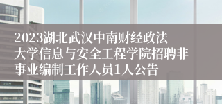 2023湖北武汉中南财经政法大学信息与安全工程学院招聘非事业编制工作人员1人公告