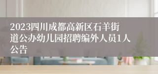 2023四川成都高新区石羊街道公办幼儿园招聘编外人员1人公告