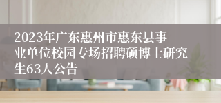 2023年广东惠州市惠东县事业单位校园专场招聘硕博士研究生63人公告