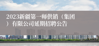 2023新疆第一师供销（集团）有限公司延期招聘公告