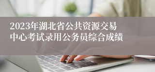 2023年湖北省公共资源交易中心考试录用公务员综合成绩