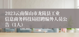 2023云南保山市龙陵县工业信息商务科技局招聘编外人员公告（1人）