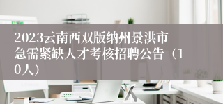 2023云南西双版纳州景洪市急需紧缺人才考核招聘公告（10人）
