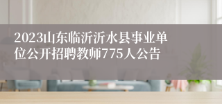 2023山东临沂沂水县事业单位公开招聘教师775人公告